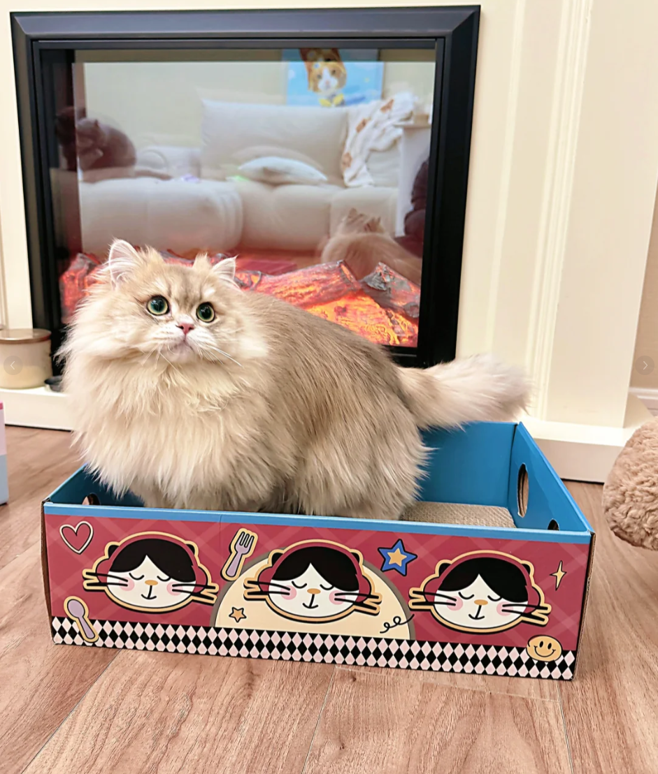 Secret Garden Cat Scratch Box | Mystery Eco-Cardboard Collection with 3 Whimsical Designs